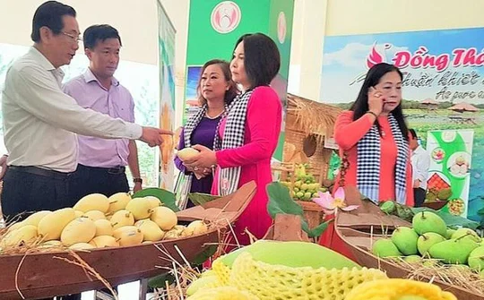 Đồng Tháp xúc tiến thực hiện mô hình Trung tâm phân phối nông sản