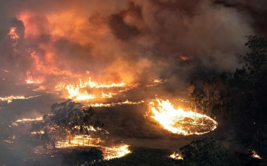 Biến đổi khí hậu có thể khiến ngành dịch vụ tài chính mất 1.000 tỷ USD