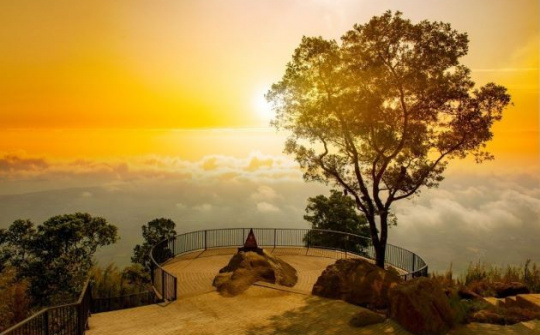 Hé lộ những điểm đến đắt khách nhất trong mùa dịch