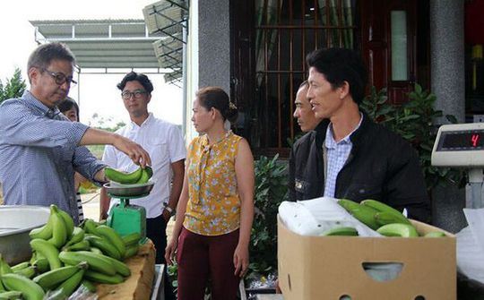 Chuối tiến vua mở đường sang Nhật