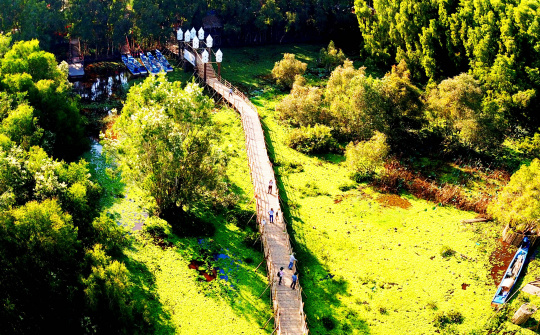 Put on his new "appearance", Tra Su makes "infatuated" to visitors