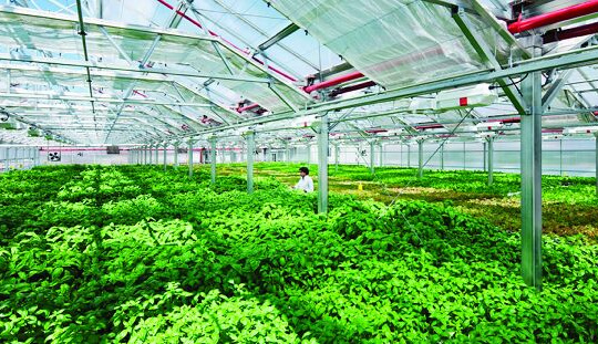 Việt Nam và Hoa Kỳ tăng cường hợp tác về nông nghiệp