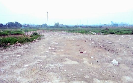 Nên tạo điều kiện cho doanh nghiệp chuyển đổi mục đích sử dụng đất