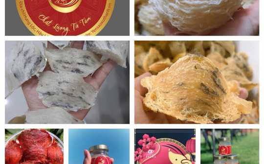 Yến Thanh – Thương hiệu của người xứ Thanh