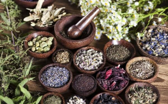 GFS tiên phong với mô hình chăm sóc sức khỏe chủ động cho mọi lứa tuổi