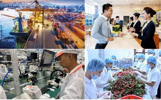 Cải cách thực chất điều kiện kinh doanh mới phát triển được thị trường