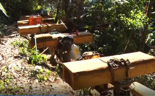 KON TUM - Bắt giữ người và phương tiện khai thác gỗ trái phép