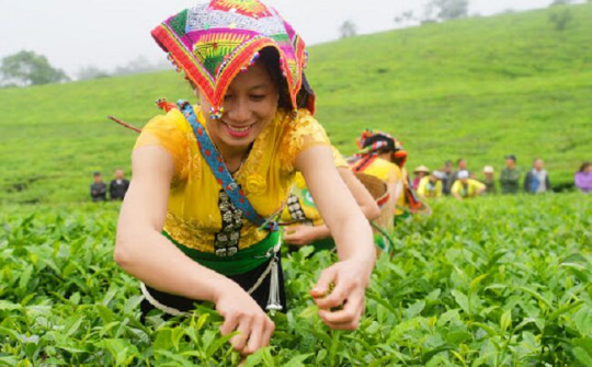 Đổi mới căn bản tư duy phát triển vùng đồng bào dân tộc thiểu số