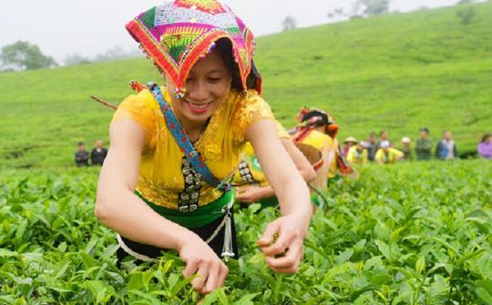 Đổi mới căn bản tư duy phát triển vùng đồng bào dân tộc thiểu số