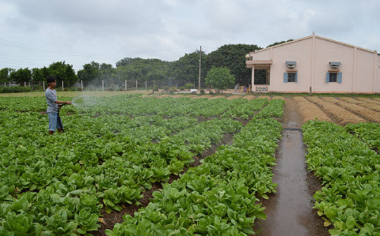 Mỗi Đảng viên là một tấm gương sáng giúp quê hương mình thoát nghèo