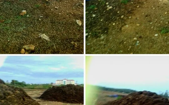 Quảng Nam: Hàng trăm tấn chất thải ngang nhiên vận chuyển đi phơi giữa ban ngày gây ô nhiễm khiến người dân bức xúc