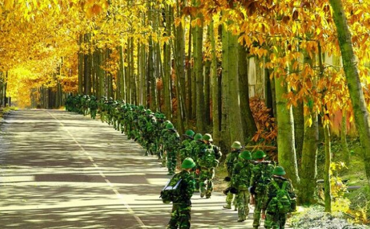 Hoàn thiện Dự án Luật Biên phòng Việt Nam