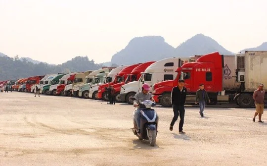 Xuất nhập khẩu đi kèm với công tác phòng chống dịch phải đảm bảo