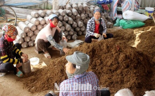 Nam Định: Gần 82.000 hộ đạt danh hiệu sản xuất, kinh doanh giỏi