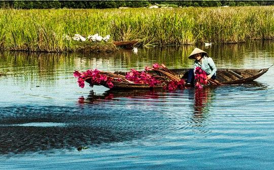 Bãi sậy – Sông Đầm: Vẻ đẹp kỳ bí được thiên nhiên ban tặng cho TP Tam Kỳ, Quảng Nam