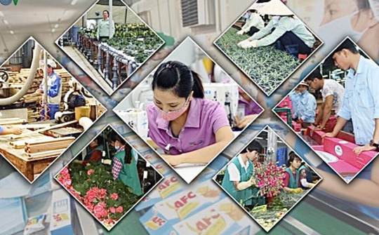 Thách thức nào với nền kinh tế Việt Nam trong bão dịch viêm đường hô hấp cấp?