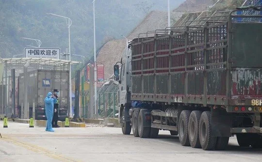 Con đường xuất khẩu tại cửa khẩu Trung-Việt ở Quảng Tây khôi phục hoạt động