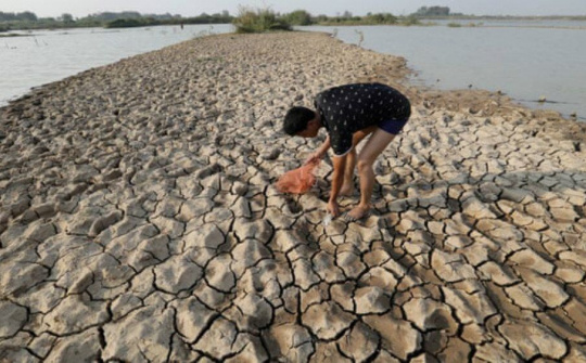 Nhiệt độ toàn cầu cao hơn mức trung bình ngay cả khi không có El Nino