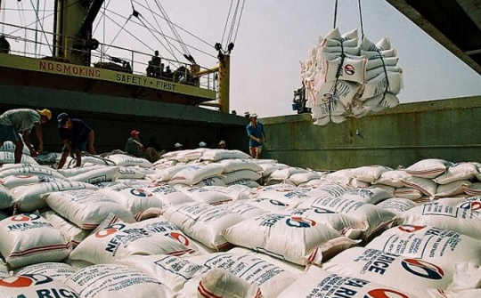 Doanh nghiệp xuất khẩu gạo cần thực hiện nghiêm Nghị định 107