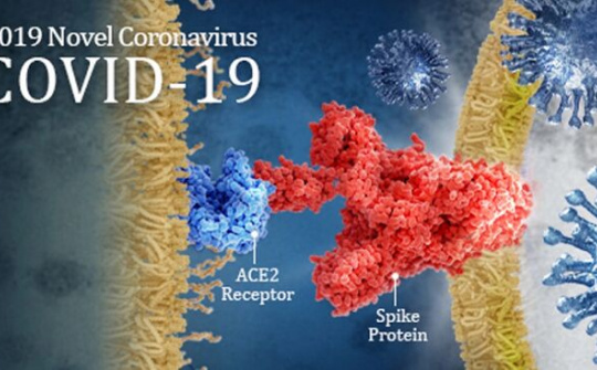 Lý do Covid- 19 lan nhanh dễ dàng giữa người với người