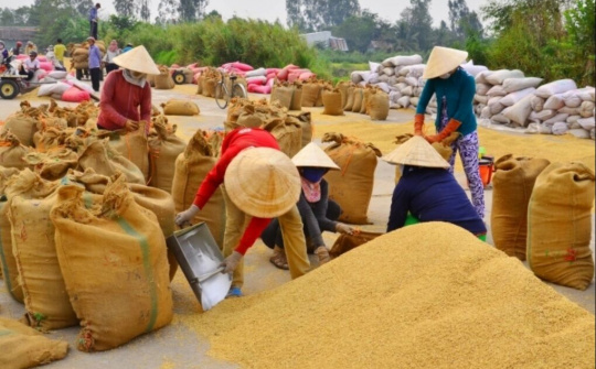 Đồng hành cùng lúa đông xuân giúp tạo ra thắng lợi lớn trong khó khăn