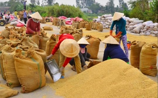 Đồng hành cùng lúa đông xuân giúp tạo ra thắng lợi lớn trong khó khăn