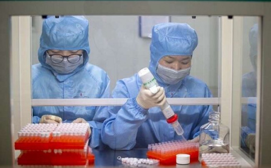 Lào Cai: 55/55 mẫu xét nghiệm có kết quả âm tính với Virus Covid -19