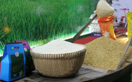 Bảo đảm cung ứng gạo dự trữ để bình ổn thị trường nội địa