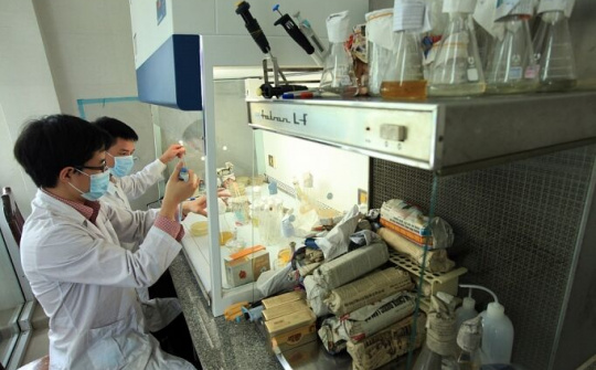 Phương pháp tạo dựng thương hiệu để nâng cao giá trị doanh nghiệp KHCN