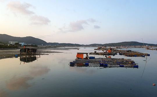 Đồng muối Sa Huỳnh: Khát vọng trắng tinh