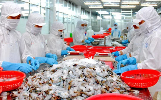 Khi Covid bị dẹp tan là cơ hội cho thị trường thực phẩm bùng nổ