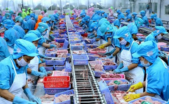 Hàng Việt Nam có xuất xứ không rõ ràng không được chấp nhận trong EVFTA
