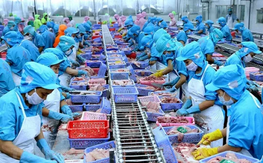 Hàng Việt Nam có xuất xứ không  rõ ràng không được chấp nhận trong EVFTA