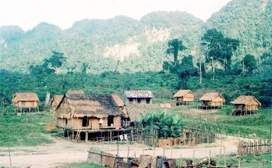 Nhân Sơn Dược và hành trình quảng bá tinh hoa nam dược của đồng bào dân tộc Chứt (Kỳ 1)