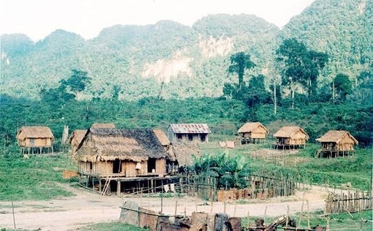 Nhân Sơn Dược và hành trình quảng bá tinh hoa nam dược của đồng bào dân tộc Chứt (Kỳ 1)