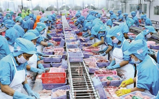 Hàng đông lạnh xuất khẩu “lên ngôi”