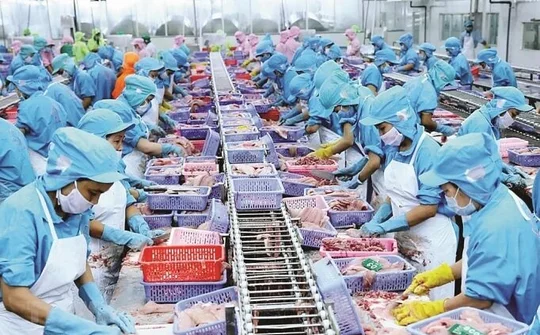 Hàng đông lạnh xuất khẩu “lên ngôi”
