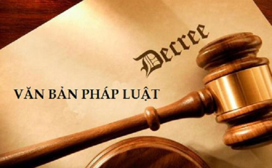 Kiên quyết không trình các dự thảo văn bản không bảo đảm chất lượng