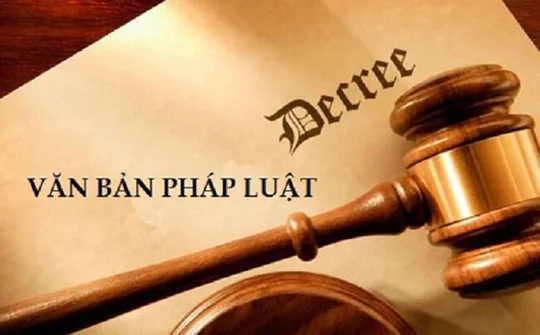 Kiên quyết không trình các dự thảo văn bản không bảo đảm chất lượng