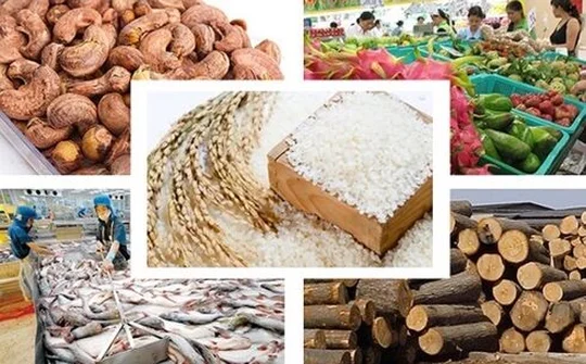 Động lực thúc đẩy phát triển nông sản Việt