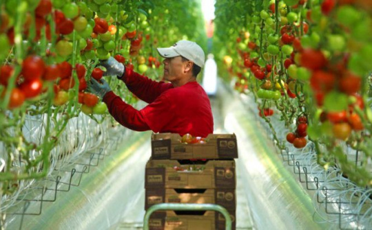 Rộng đường cho ngành nông nghiệp Việt Nam hội nhập phát triển kinh tế