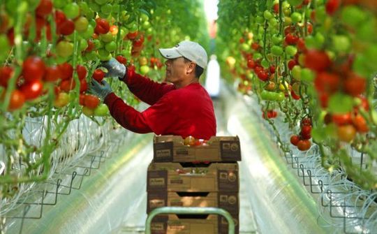 Rộng đường cho ngành nông nghiệp Việt Nam hội nhập phát triển kinh tế