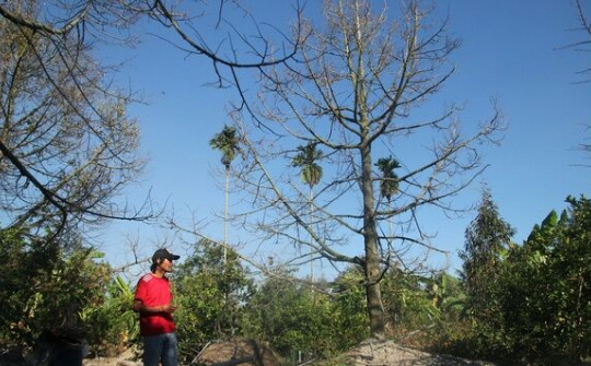 Khẩn cấp xây dựng những kịch bản giảm hạn mặn ở miền Trung