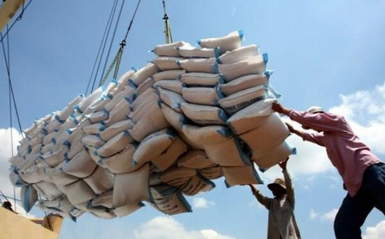 Kinh tế Việt Nam phát triển với năng suất lúa cao nhất Đông Nam Á