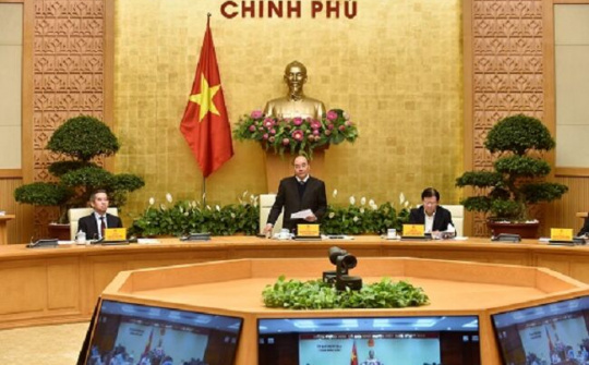 Thủ tướng: Phải chốt cứng diện tích trồng lúa và sản lượng lương thực hằng năm