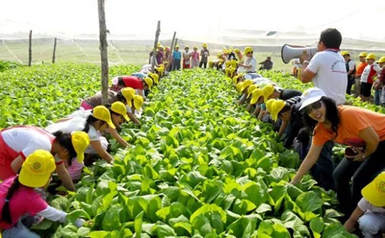 Gắn du lịch cộng đồng với sự phát triển ngành nông nghiệp