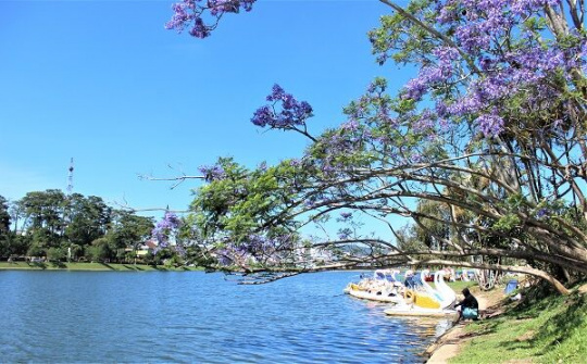 Lâm Đồng: Tìm giải pháp tháo gỡ khó khăn cho ngành du lịch do ảnh hưởng của dịch Covid 19