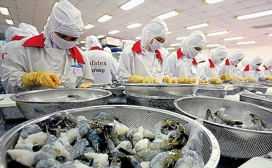 Mặc dù EU đóng cửa biên giới nhưng việc lưu thông hàng hóa Việt Nam – EU vẫn tiếp tục duy trì