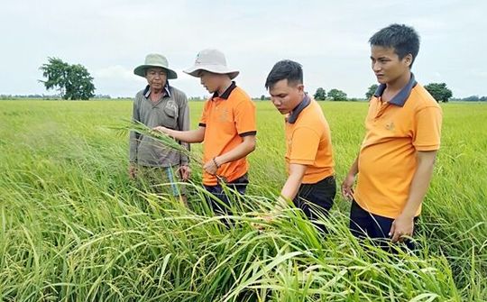 Thương hiệu Agri - hospital giúp người nông dân gia tăng năng xuất