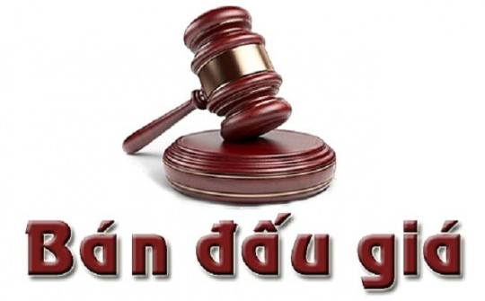 Sửa quy định bán đấu giá tài sản thi hành án